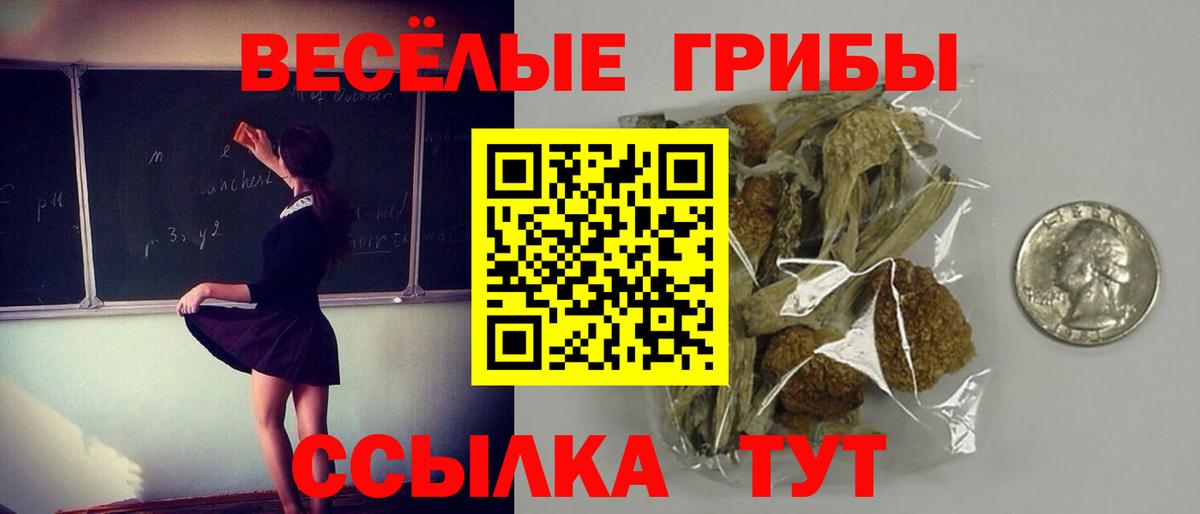 как найти   Вход с VPN  Тутаев  Галлюциногенные грибы Cubensis 